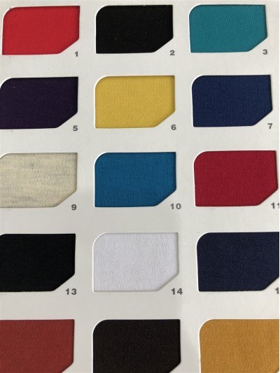 GZ-LTTG 40S棉拉架雙面(食毛) DG0151 240-250G 正面照